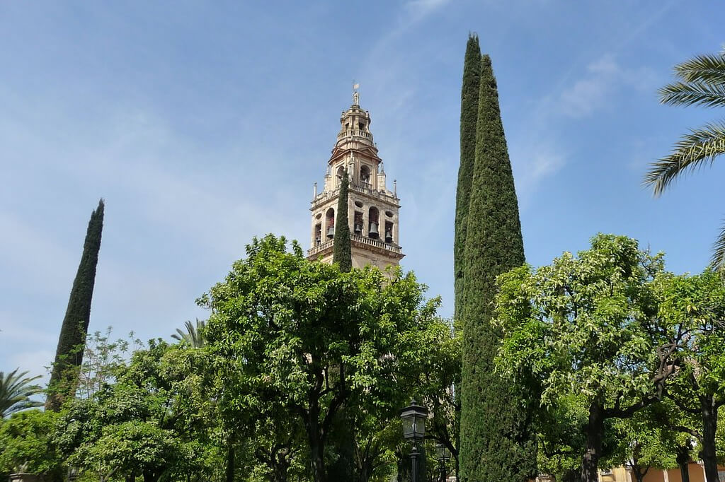 Mezquita Cathedral 